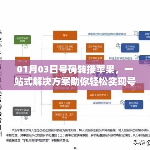 蘋(píng)果號(hào)碼轉(zhuǎn)移一站式解決方案，輕松實(shí)現(xiàn)轉(zhuǎn)接