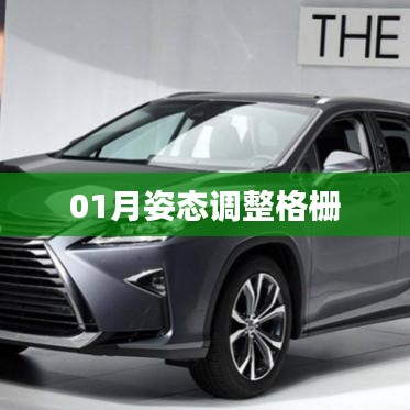 姿態(tài)調(diào)整格柵，一月操作指南
