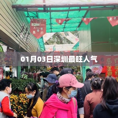 第1763頁