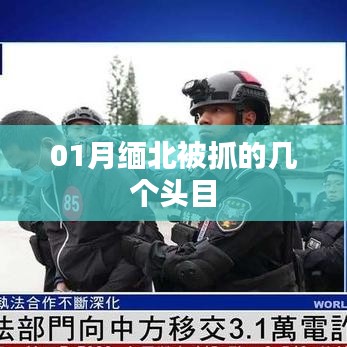 緬北行動，一月頭目抓捕行動回顧