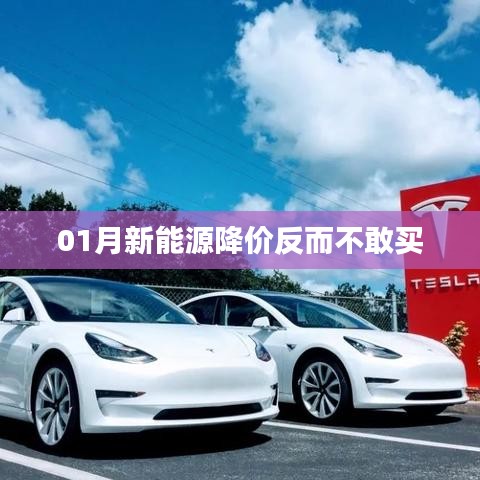 新能源降價引發(fā)觀望心態(tài)，消費者猶豫待購