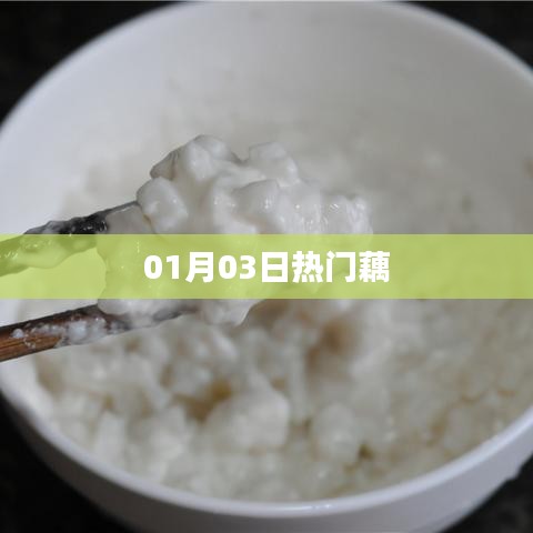 藕的熱門資訊，最新動態(tài)一網(wǎng)打盡（01月03日）