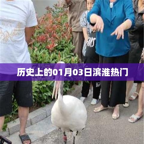 濱淮熱門事件回顧，歷史上的1月3日