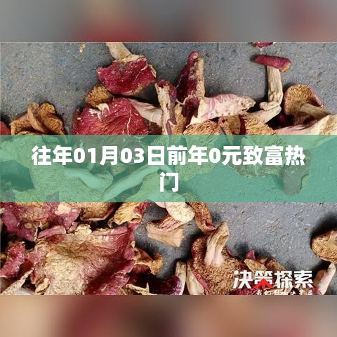 「歷年致富熱門回顧，年前零元起步熱門商機(jī)」