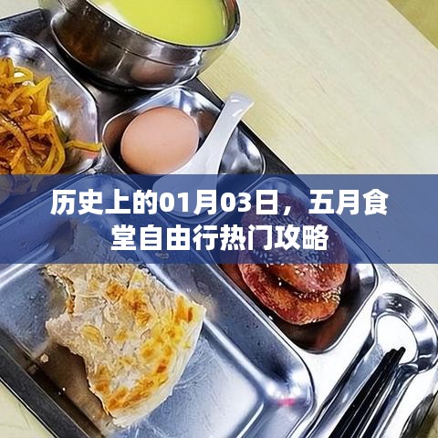 五月食堂自由行，一月三日熱門(mén)攻略全解析