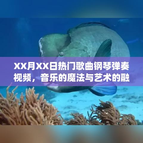 音樂的魔法與藝術(shù)融合，XX月XX日熱門歌曲鋼琴彈奏視頻欣賞