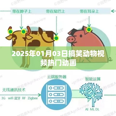 2025年搞笑動(dòng)物視頻盛宴，熱門動(dòng)畫歡樂(lè)來(lái)襲