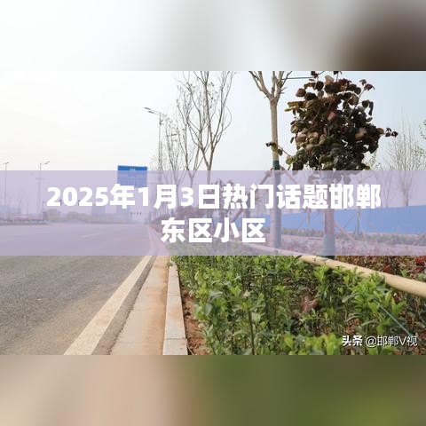 邯鄲東區(qū)小區(qū)，聚焦2025年1月3日熱議話題