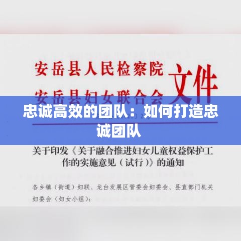 忠誠高效的團(tuán)隊(duì)：如何打造忠誠團(tuán)隊(duì) 