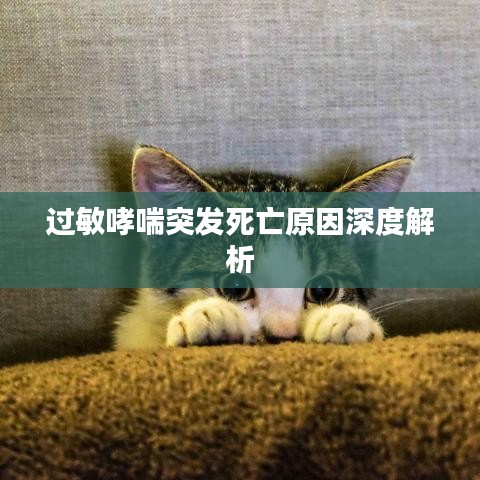 物是人非 第4頁(yè)