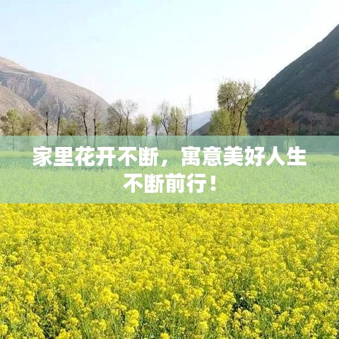 家里花開不斷，寓意美好人生不斷前行！