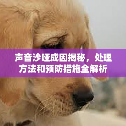 聲音沙啞成因揭秘，處理方法和預(yù)防措施全解析