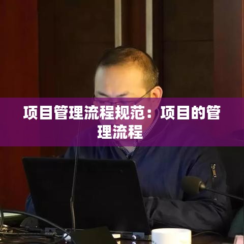 項目管理流程規(guī)范：項目的管理流程 