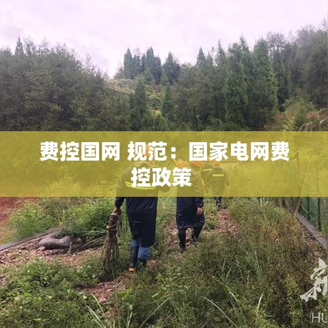 費(fèi)控國網(wǎng) 規(guī)范：國家電網(wǎng)費(fèi)控政策 