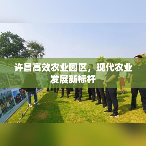 許昌高效農(nóng)業(yè)園區(qū)，現(xiàn)代農(nóng)業(yè)發(fā)展新標桿