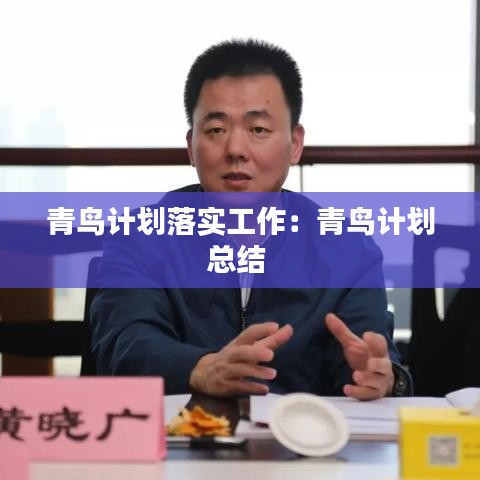 青鳥計(jì)劃落實(shí)工作：青鳥計(jì)劃總結(jié) 