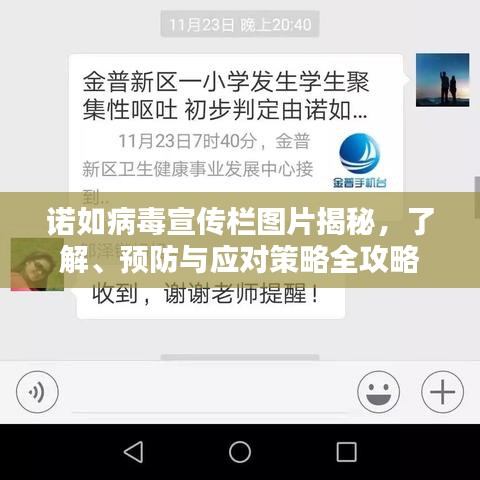 諾如病毒宣傳欄圖片揭秘，了解、預(yù)防與應(yīng)對策略全攻略