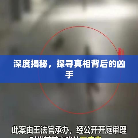 深度揭秘，探尋真相背后的兇手