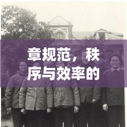 章規(guī)范，秩序與效率的保障基石
