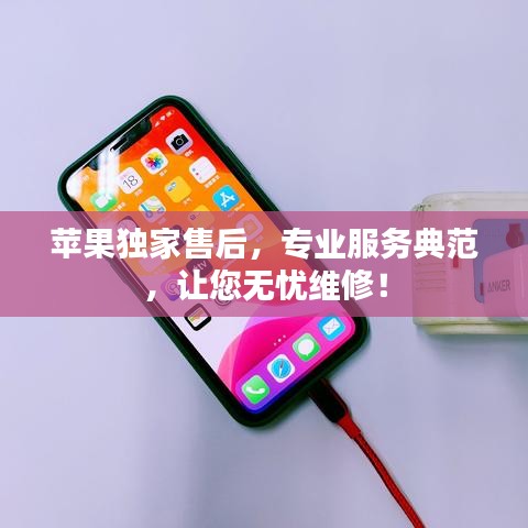 蘋果獨家售后，專業(yè)服務典范，讓您無憂維修！