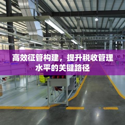 高效征管構(gòu)建，提升稅收管理水平的關(guān)鍵路徑