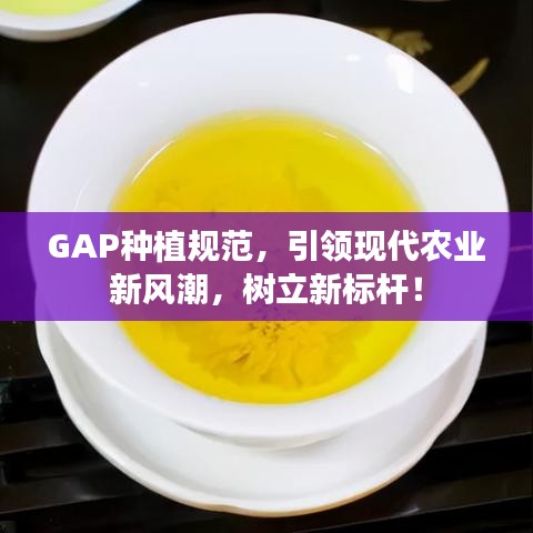 GAP種植規(guī)范，引領(lǐng)現(xiàn)代農(nóng)業(yè)新風(fēng)潮，樹立新標(biāo)桿！