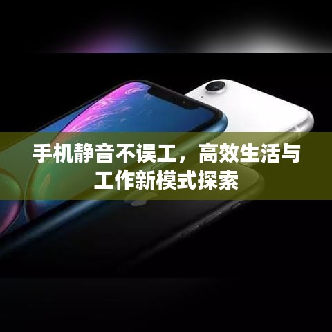 不知就里 第3頁(yè)