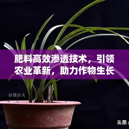 肥料高效滲透技術(shù)，引領(lǐng)農(nóng)業(yè)革新，助力作物生長(zhǎng)新動(dòng)力