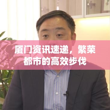 廈門資訊速遞，繁榮都市的高效步伐