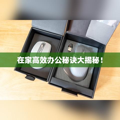 鳶飛戾天 第3頁(yè)