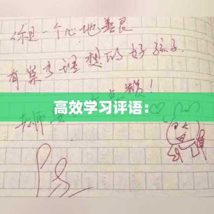 高效學(xué)習(xí)評(píng)語： 