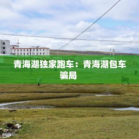 青海湖獨(dú)家跑車(chē)：青海湖包車(chē)騙局 