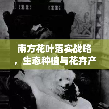 南方花葉落實(shí)戰(zhàn)略，生態(tài)種植與花卉產(chǎn)業(yè)繁榮之路
