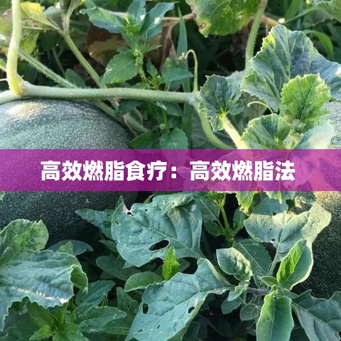 貴不可言 第3頁