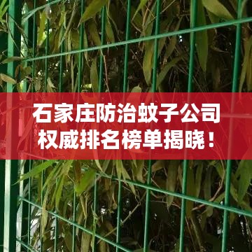 勇往直前 第3頁