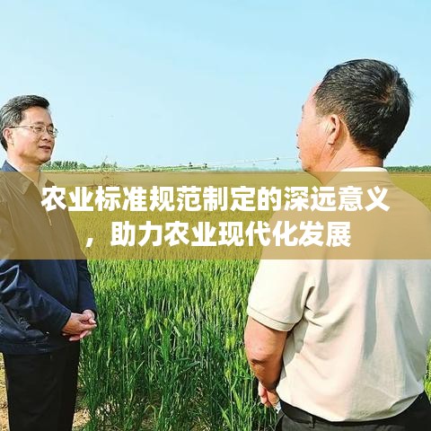 豐容盛鬋 第3頁