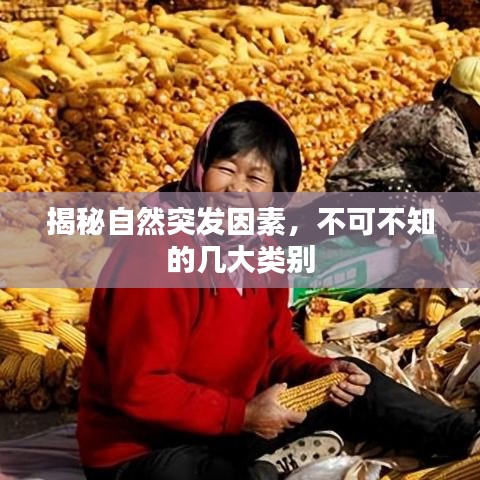 揭秘自然突發(fā)因素，不可不知的幾大類別
