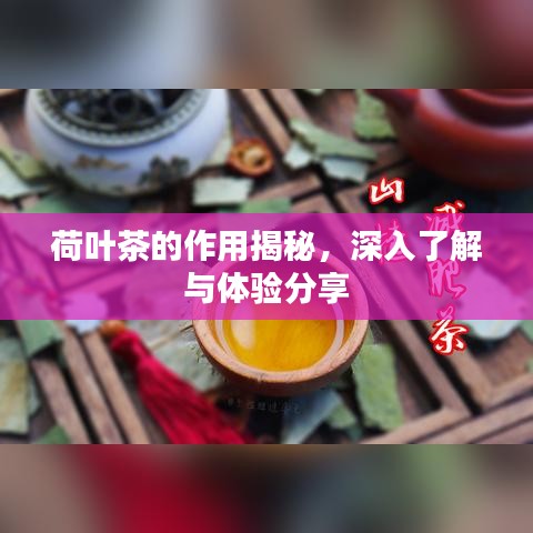 荷葉茶的作用揭秘，深入了解與體驗分享