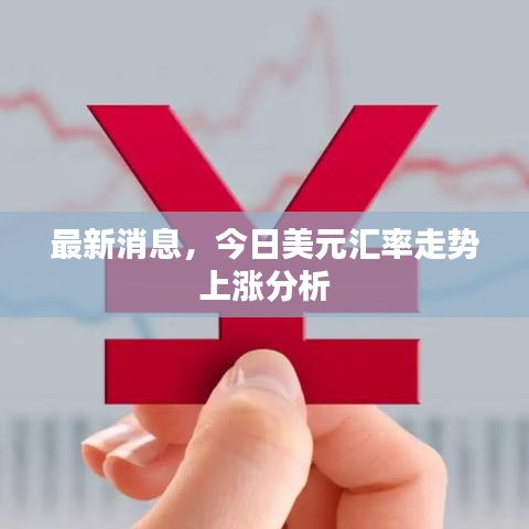 最新消息，今日美元匯率走勢上漲分析