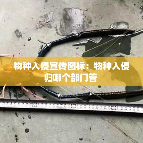 物種入侵宣傳圖標：物種入侵歸哪個部門管 