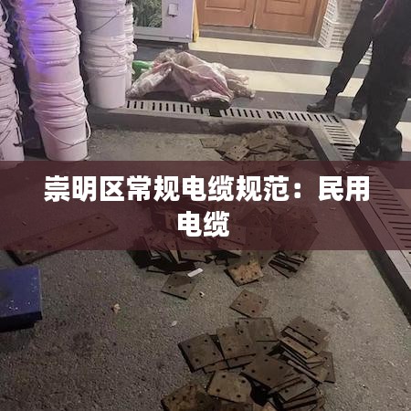 風流儒雅 第3頁