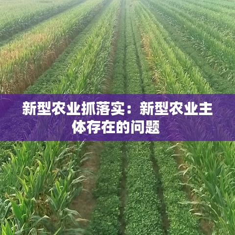 新型農(nóng)業(yè)抓落實(shí)：新型農(nóng)業(yè)主體存在的問(wèn)題 