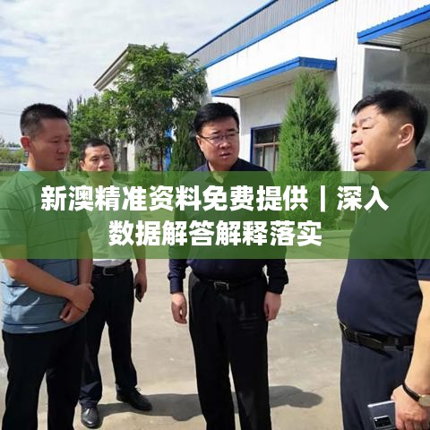 新澳精準(zhǔn)資料免費提供｜深入數(shù)據(jù)解答解釋落實