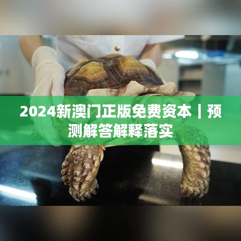 2024新澳門正版免費資本｜預測解答解釋落實