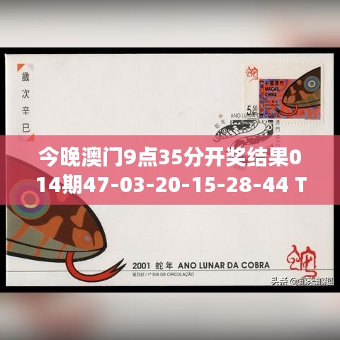 今晚澳門(mén)9點(diǎn)35分開(kāi)獎(jiǎng)結(jié)果014期47-03-20-15-28-44 T：32｜全面解答解釋落實(shí)
