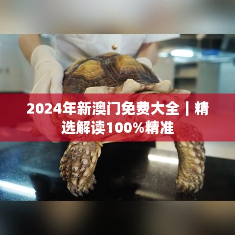 2024年新澳門免費大全｜精選解讀100%精準(zhǔn)