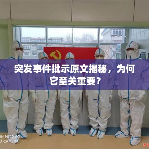 突發(fā)事件批示原文揭秘，為何它至關(guān)重要？