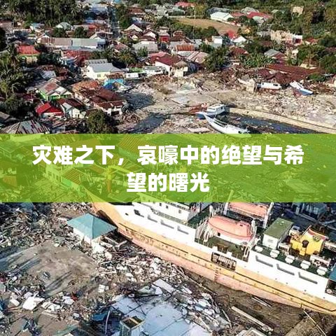 災(zāi)難之下，哀嚎中的絕望與希望的曙光