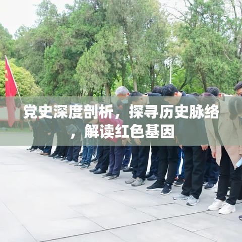 黨史深度剖析，探尋歷史脈絡，解讀紅色基因
