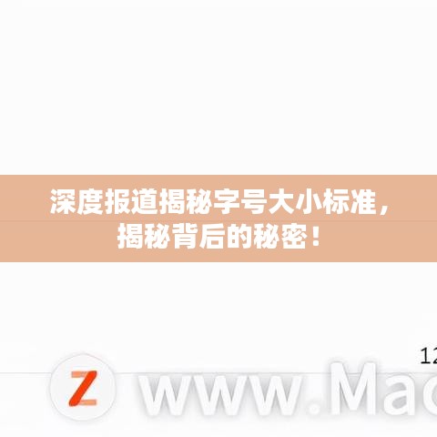 深度報(bào)道揭秘字號(hào)大小標(biāo)準(zhǔn)，揭秘背后的秘密！